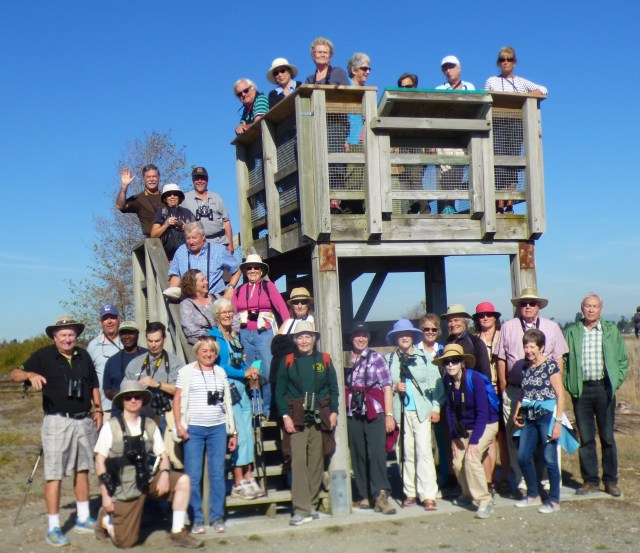 Roger M (click on photo to see large version)