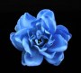 BlueGardenia
