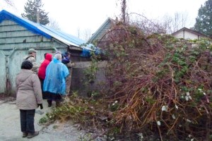 Look what happens when you tell people there's a rare bird in your back yard!