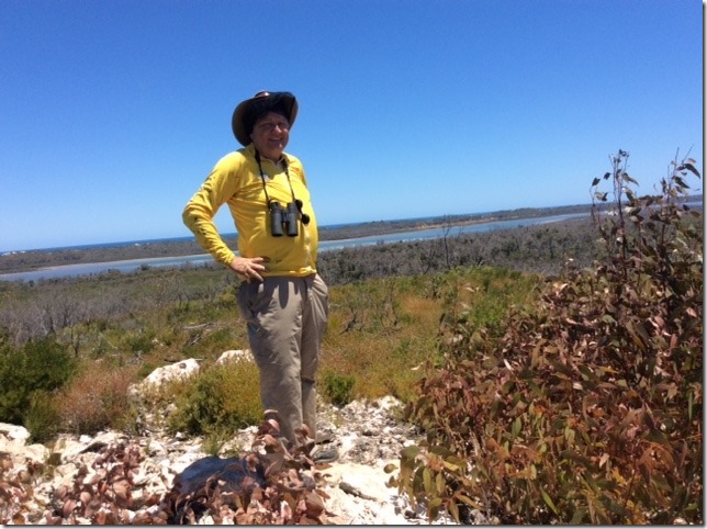 TomAttackedbyKillerTermites[1]