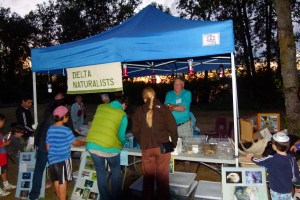 Starry Night Display