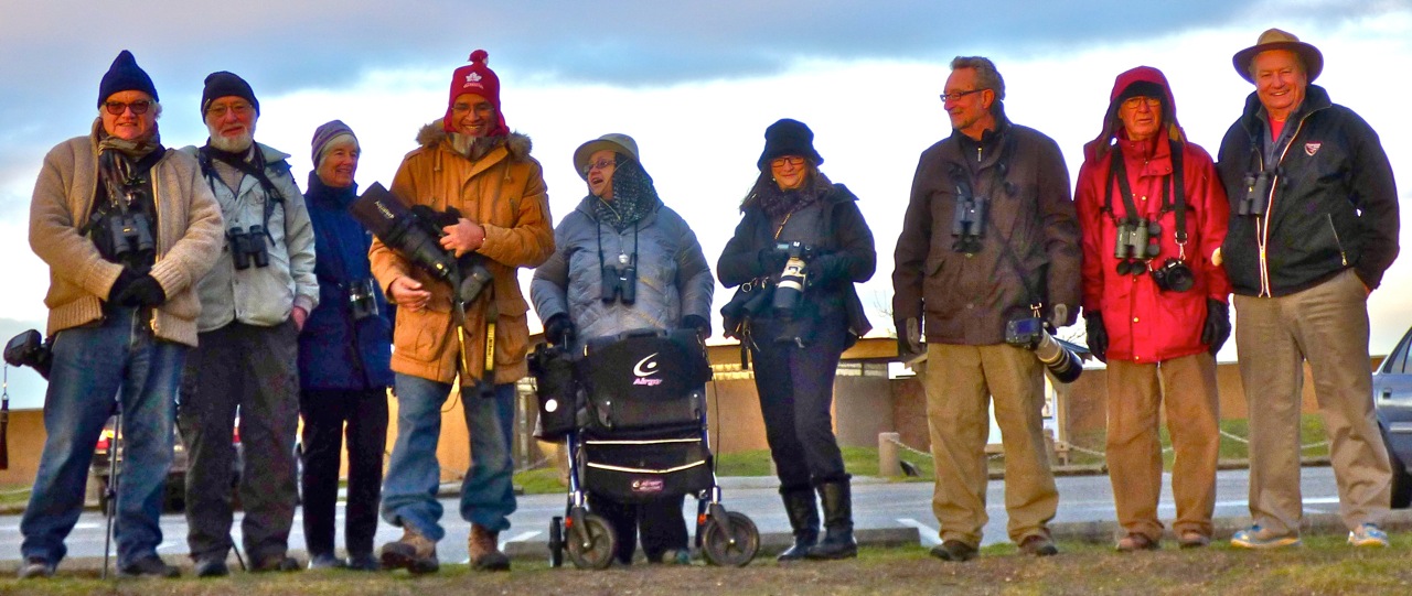 DNCB at Iona RP (photo by Roger M)