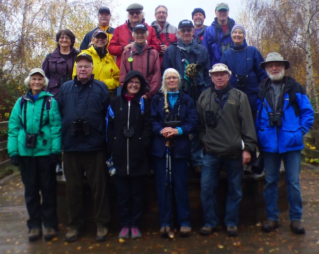 rm_dncb_group_terranova