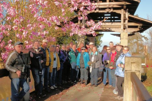 DNCB at UBC Botanical Gardens (RH) - click on photo to see large size