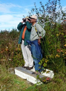Vertically Challenged Birders