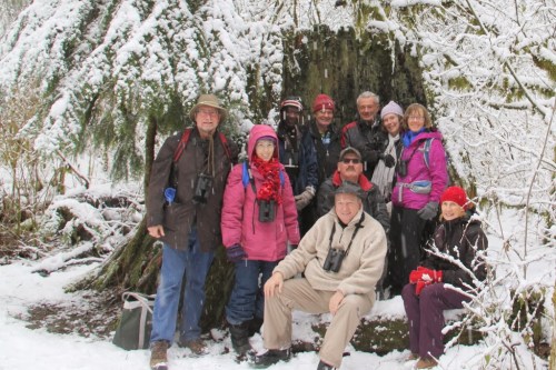 DNCB in Hollowed Stump (TC)