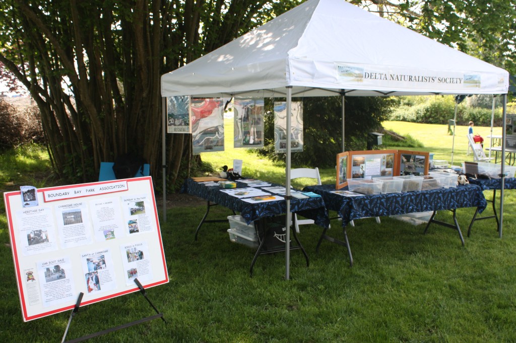DNS display at Delta Regional Heritage Fair (TC)