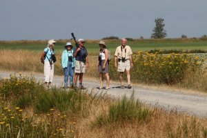 Birders by Terry Carr