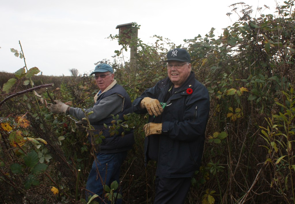 Roger & Mike battling blackberries