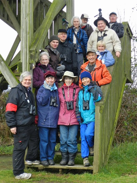DNCB at Serpentine Fen