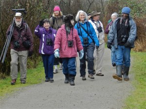 DNCB at Burnaby Lake
