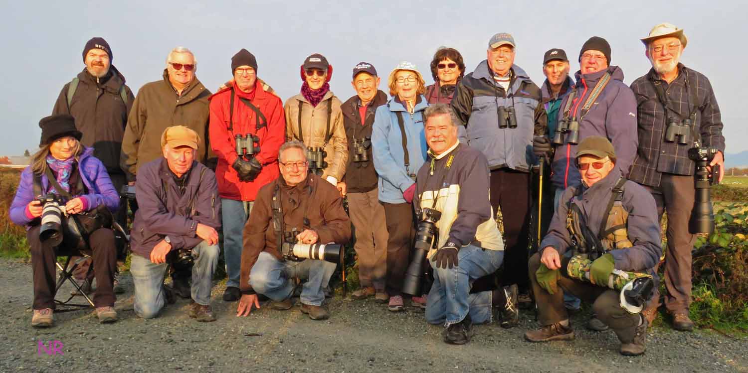 DNCB_BoundaryBay_Nov 13 2018_Noreen.JPG