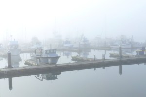 Blaine Marina in the fog (MS)