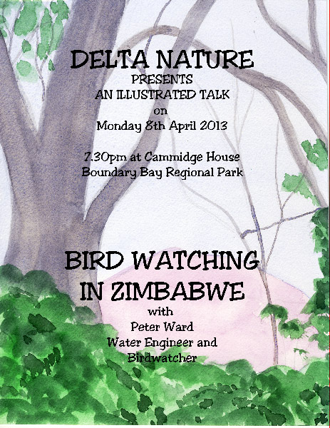 dnsposapr13_edited-1