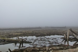 Enhanced or Wasteland