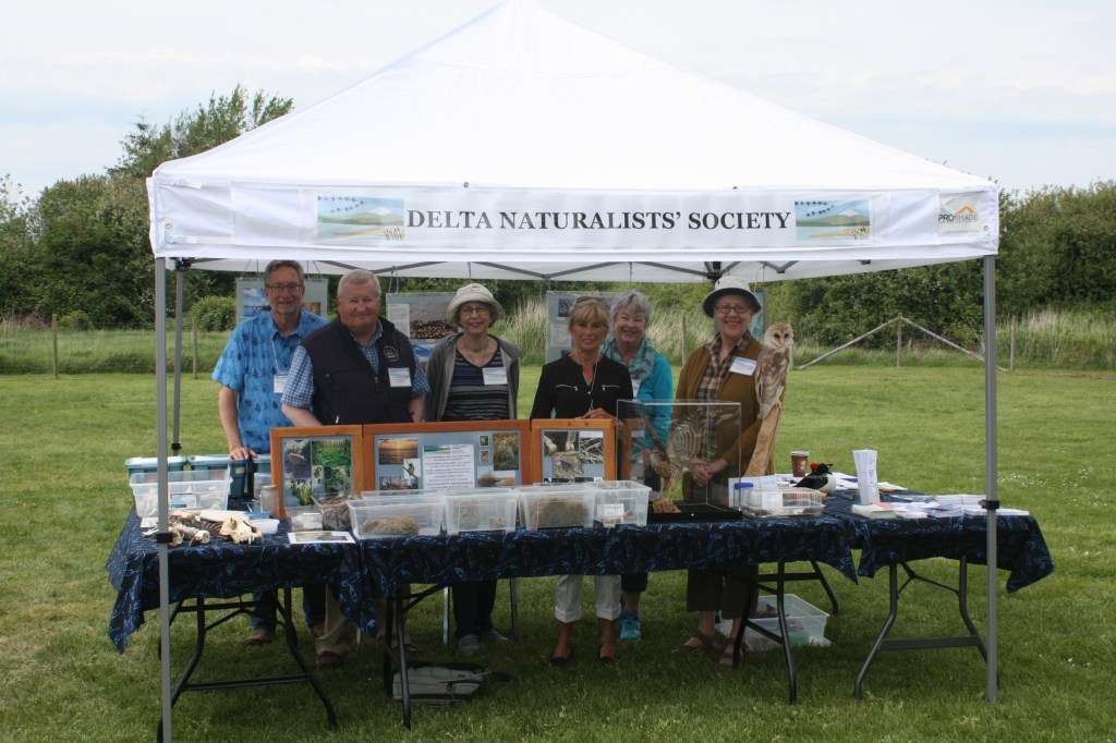 DNS Display at Mother's Day Tea with the Birds