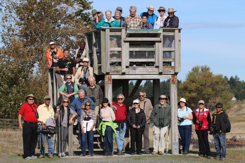 TC_DNCB_group_IMG_0927