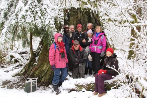 DNCB in Hollowed Stump (TC)