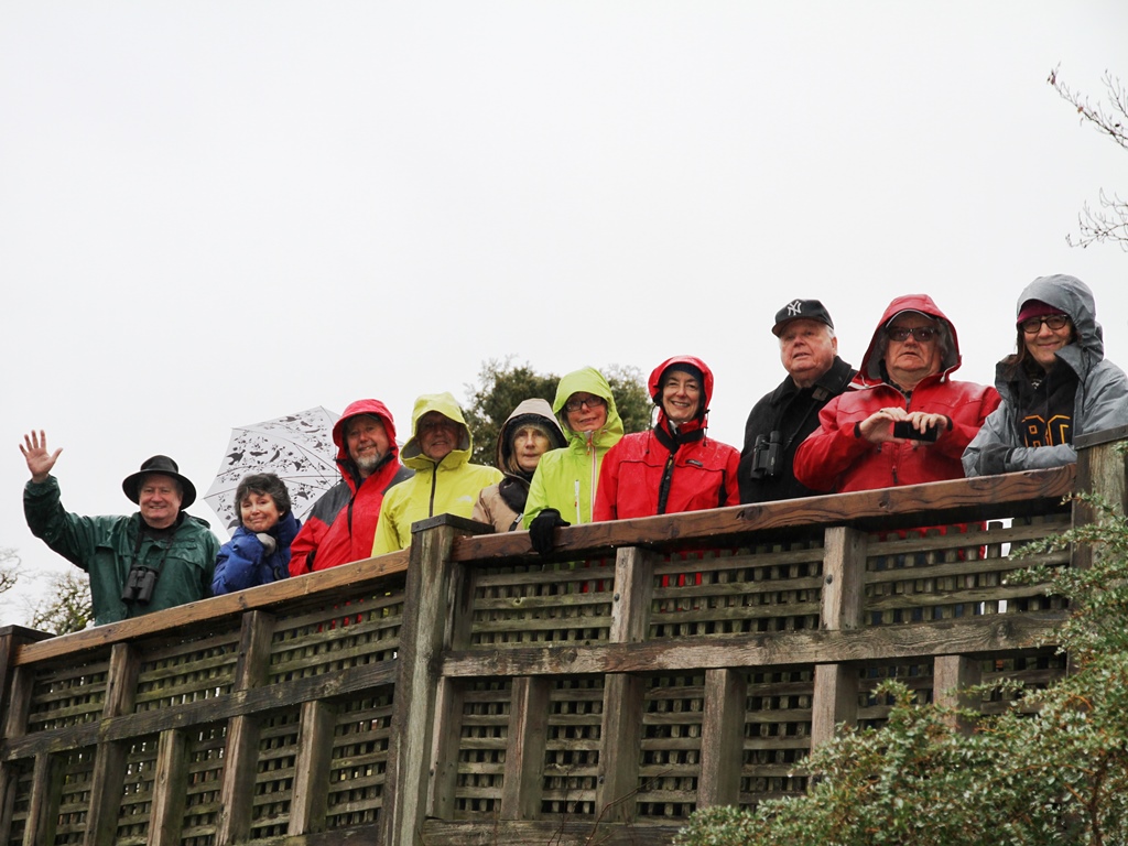 DNCB at QE Gardens (JM)