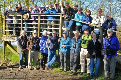 DNCB at Ladner Harbour Park (KB) click on photo to see large version