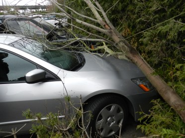 (click photo to enlarge)