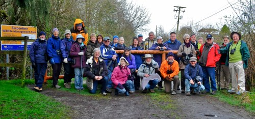 DNCB at Serpentine Fen (KB) - click on photo for large version