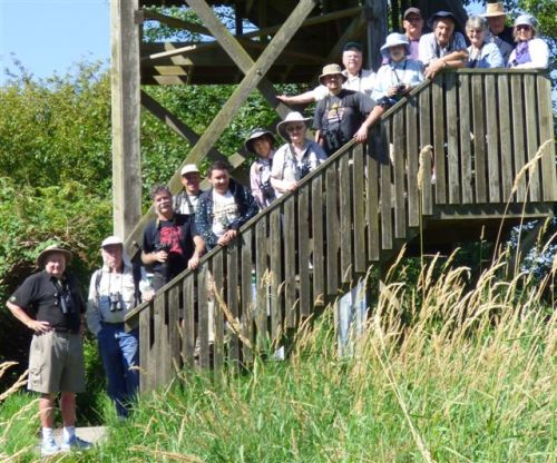 Pitt Polder Ponderers Posing (RM)