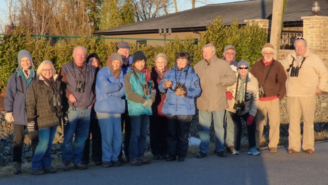 DNCB under the Golden Eagle