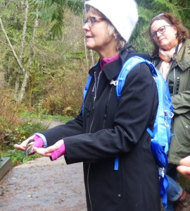 Chestnut-backed Chickadee (RM)