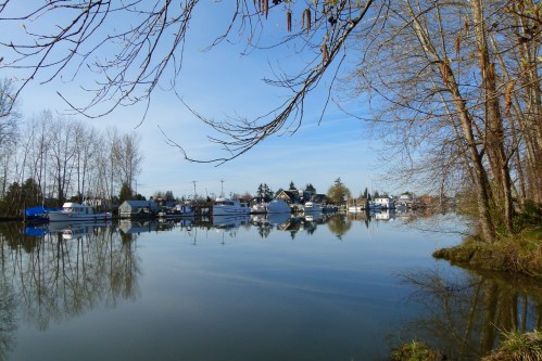 Ladner Harbour