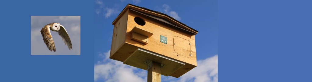 Barn Owl Box installed in North Forty&nbsp;Park