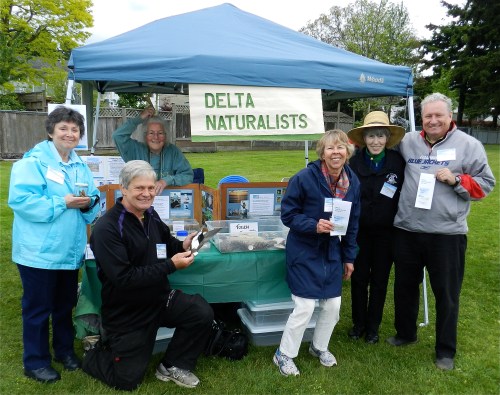 Delta Nats @ Delview Park