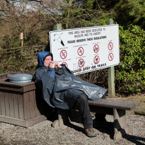 Waiting to be Fed Peanut Butter Sandwiches