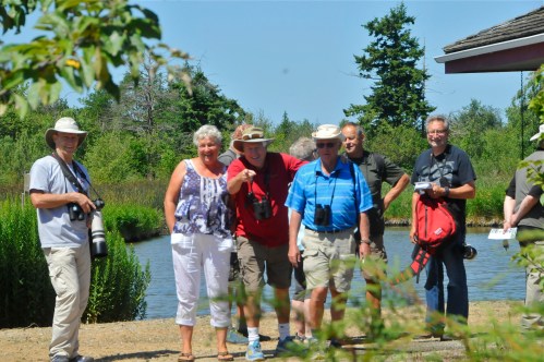 Sand Wasp observers (KB)