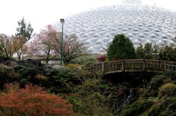 TC_Bloedel_Conservatory_IMG_2059