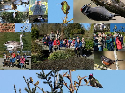 DNCB_2013-12 QE Park