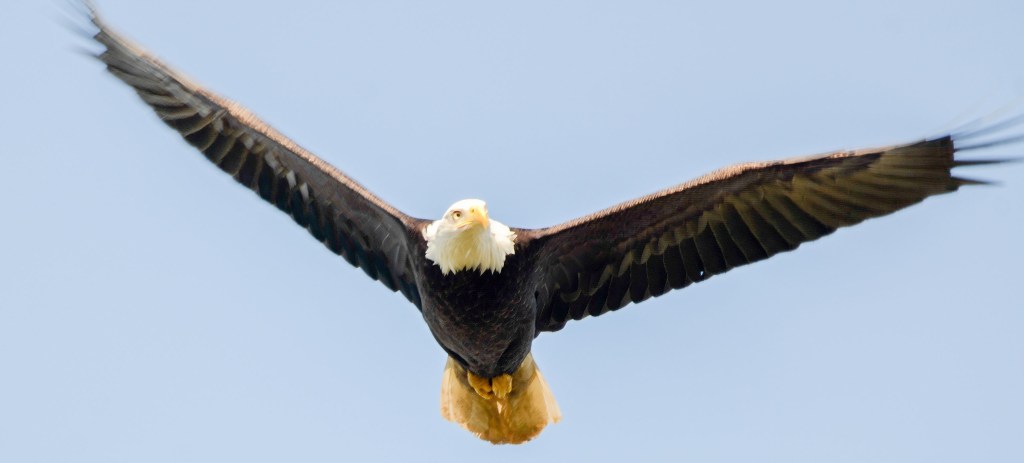 Delta Naturalists Outing to North 40 Park Reserve, April 10,&nbsp;2024