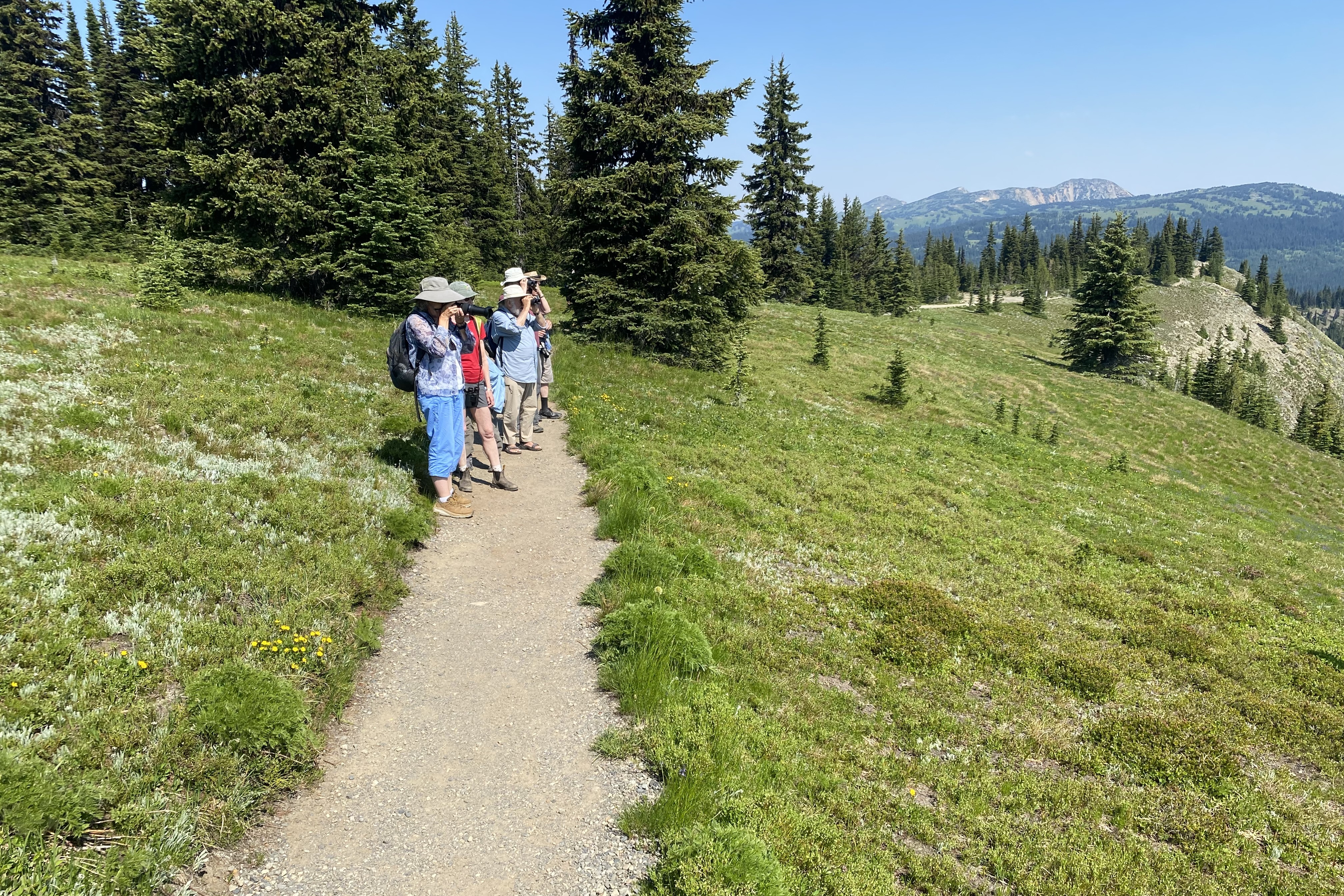 Delta Naturalists Outing to Manning Park, July 9, 2024