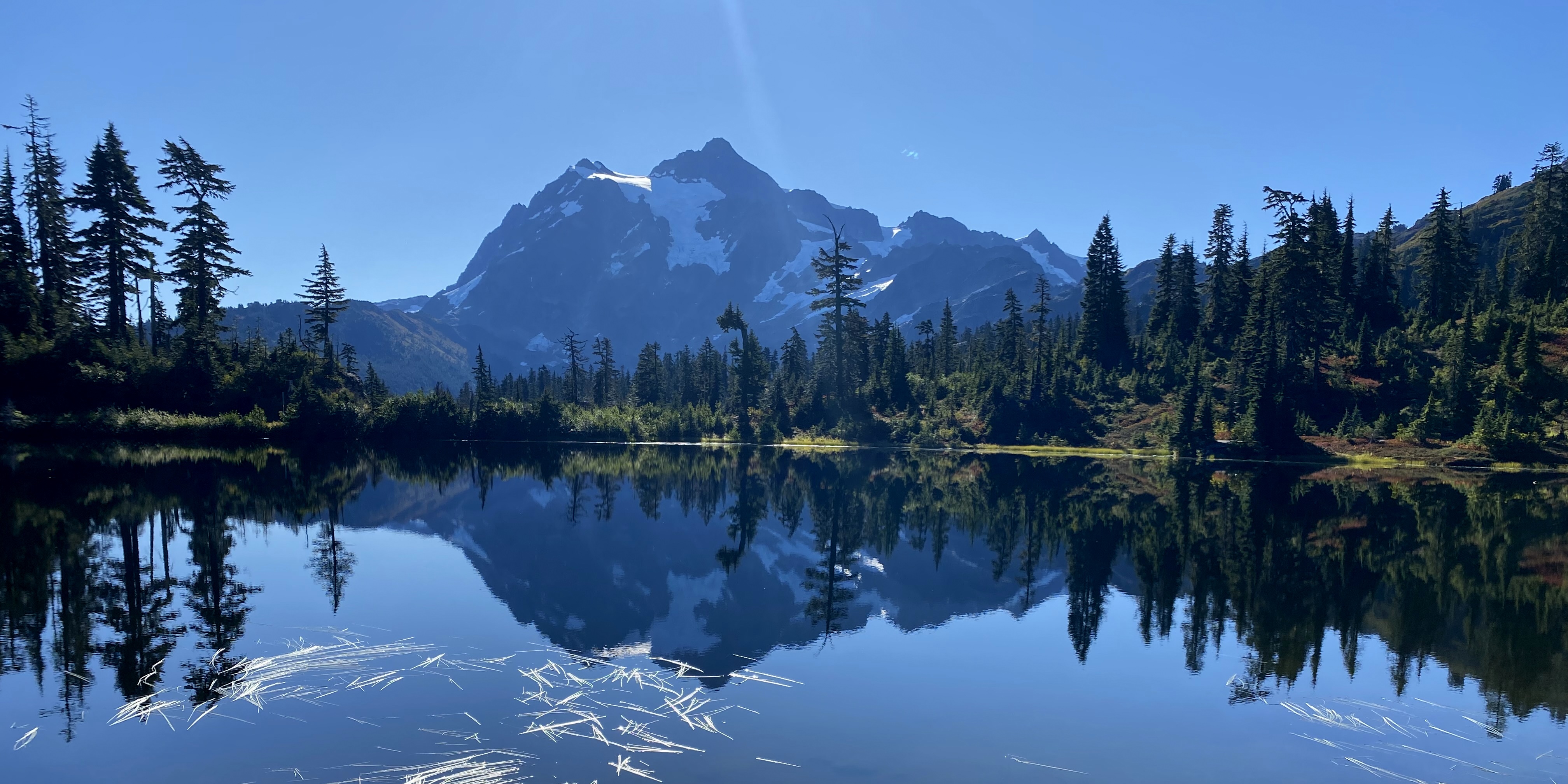 Delta Naturalists Outing to Mount Baker, September 16, 2024