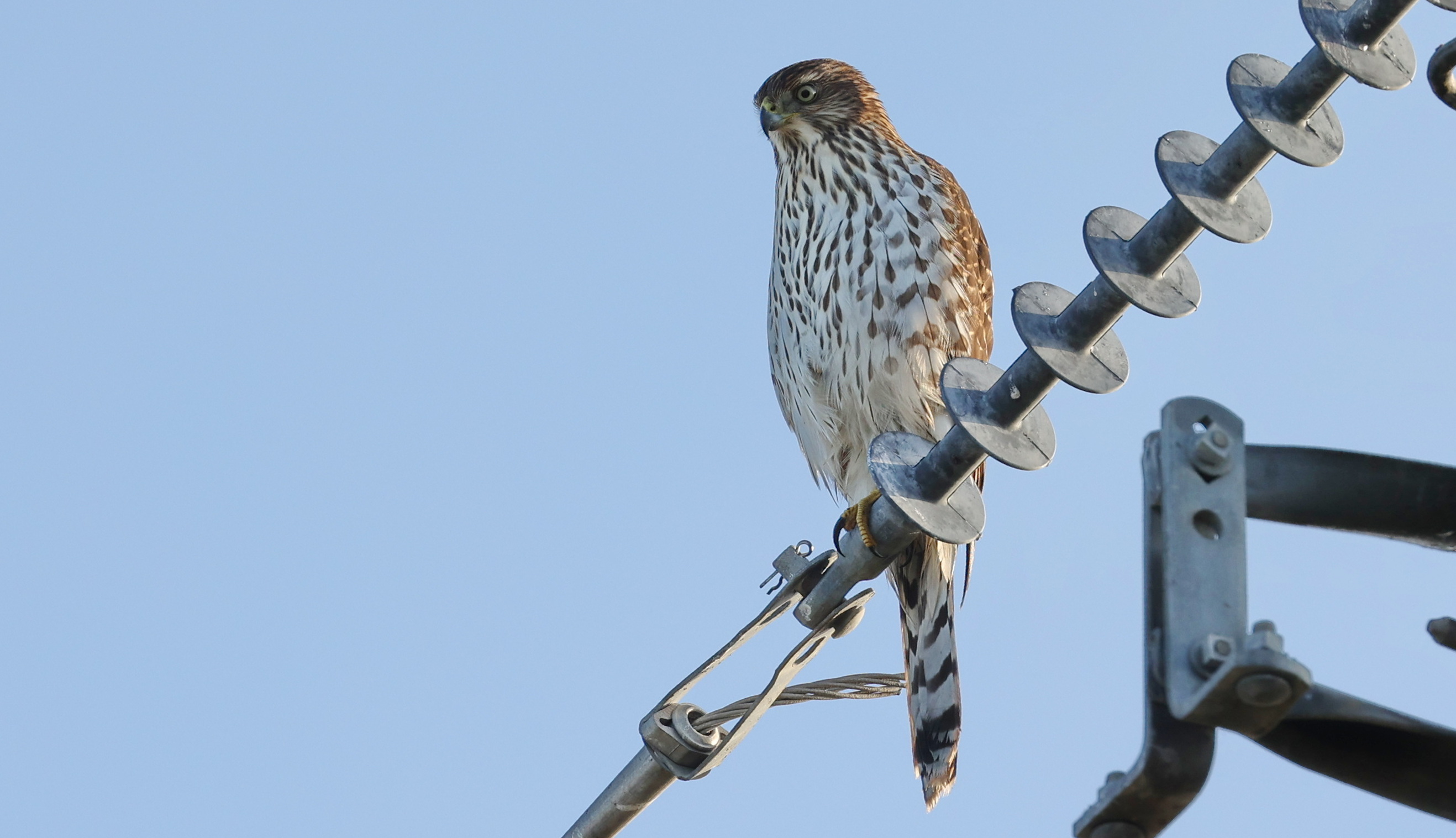 Delta Naturalists Outing to Point Roberts, September 4, 2024