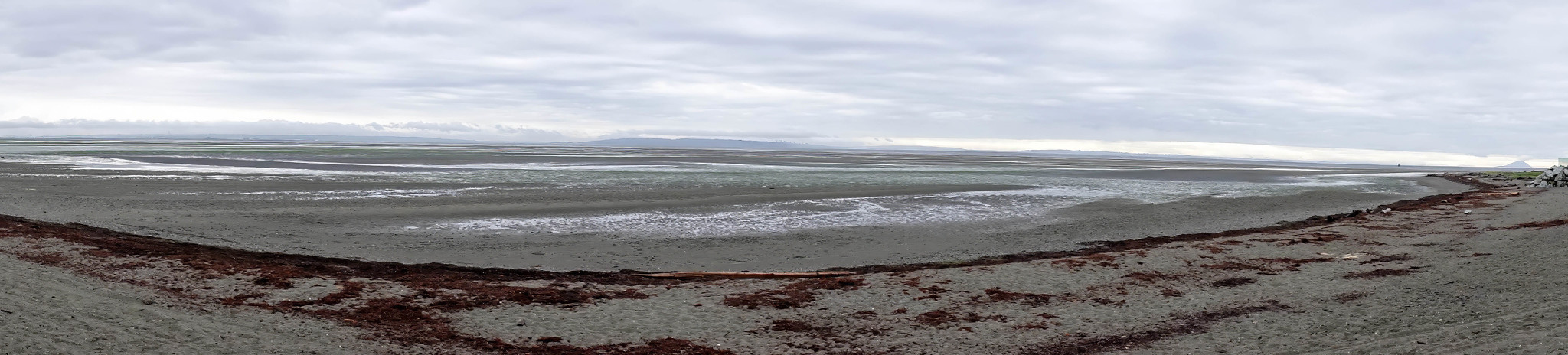 Delta Naturalists Outing to Centennial Beach, September 25, 2024
