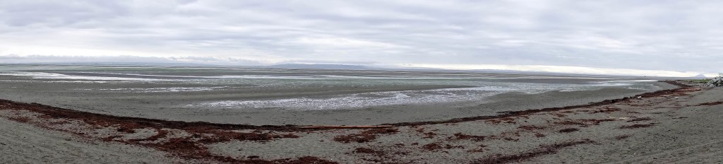 Delta Naturalists Outing to Centennial Beach, September 25,&nbsp;2024