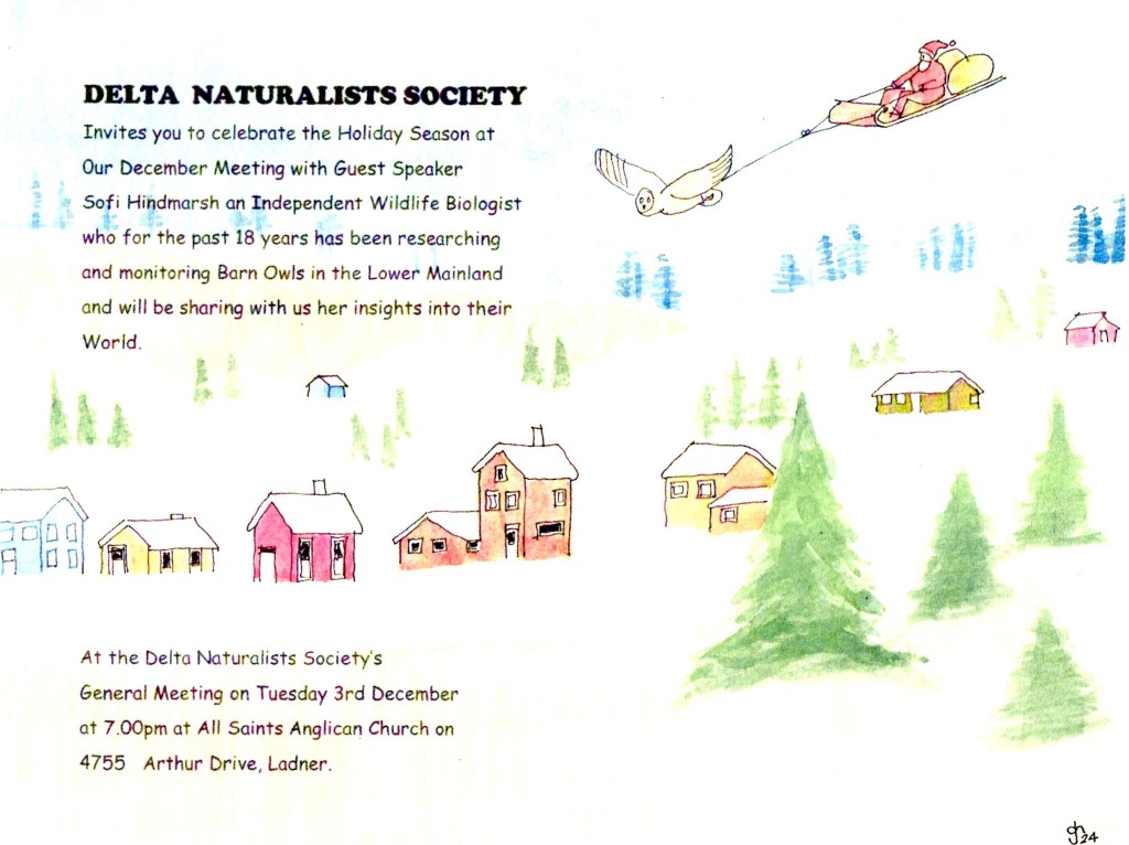 Poster by Geof Hacker - see also previous DNS posters