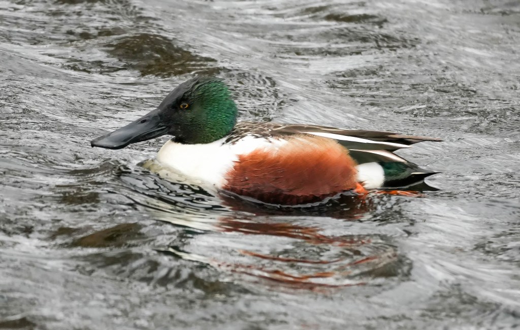 Delta Naturalists Outing to Centennial Beach, February 19,&nbsp;2025