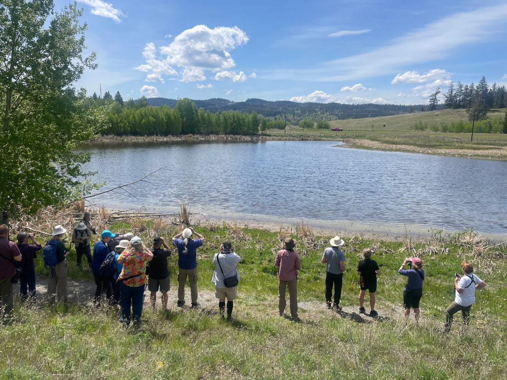 Birdwatchers looking out over a lake