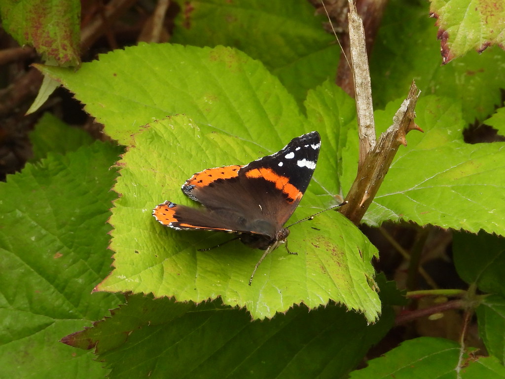 Delta Naturalists Outing to Alaksen National Wildlife Area, July 8, 2026